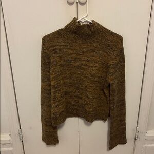Zara Knit Turtleneck Sweater